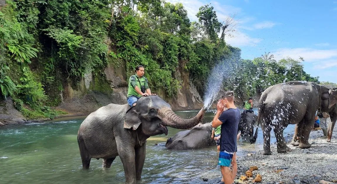 Tangkahan und Gunung Leuser – Elefanten im Regenwald – Eindruck aus der Reiseregion